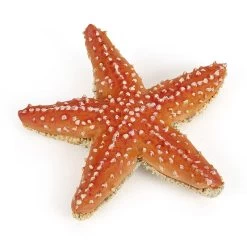 Papo Starfish