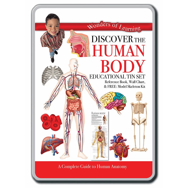 Discover The Human Body Educational Tin Set 3 Discover The Human Body Educational Tin Set