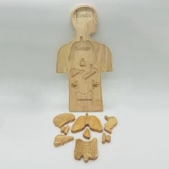 Human Anatomy Puzzle *