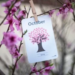 Days, Months & Seasons Flash Cards -Toy Specialty Store DaysDSC 0152Crop