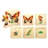 Fun Factory Butterfly Layer Puzzle