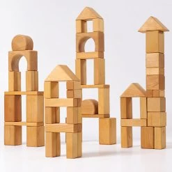 Natural Geo Blocks 60pc -Toy Specialty Store GRI10100 6