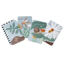 Garden Friends Snap & Memory Cards 7 Garden Friends Snap & Memory Cards -Toy Specialty Store GardenFriendsSnapandMemoryPackagingCards White