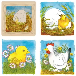 Goki Chicken Life Cycle 4 Layer Puzzle