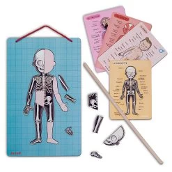 Janod Human Bodymagnet Activity Set 15 Janod Human Bodymagnet Activity Set -Toy Specialty Store JAN05491 6