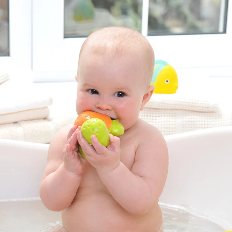 Mele Sea Turtle Sealed Bath Toy 8 Mele Sea Turtle Sealed Bath Toy - Image 6