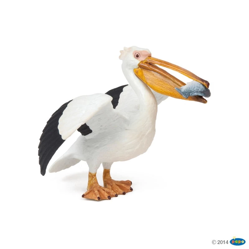 Papo Pelican 3 Papo Pelican