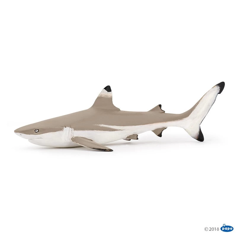 Papo Blacktip Reef Shark 4 Papo Blacktip Reef Shark - Image 2