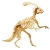 Parasaurolophus Dinosaur 3D Wood Kit 2 Parasaurolophus Dinosaur 3D Wood Kit -Toy Specialty Store Parasaurolophus 01