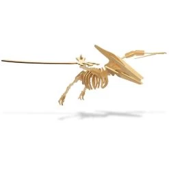 Pteranodon Dinosaur 3D Wood Kit