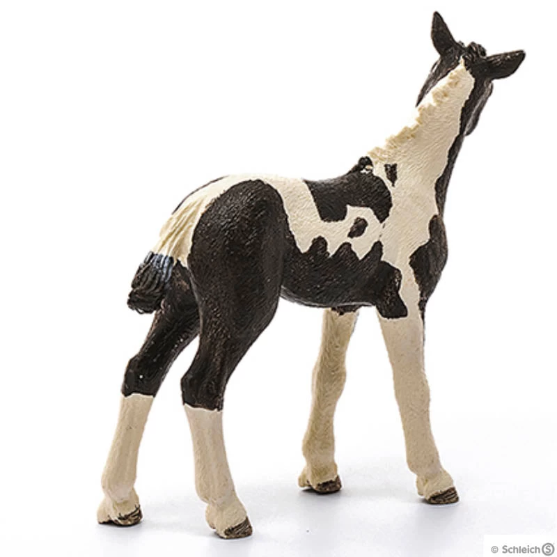 Schleich Pinto Foal 4 Schleich Pinto Foal - Image 2