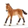 Schleich Tennessee Walker Foal -Toy Specialty Store SCH13804 01