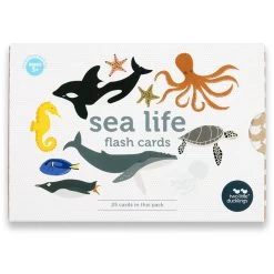 Sea Life Flash Cards