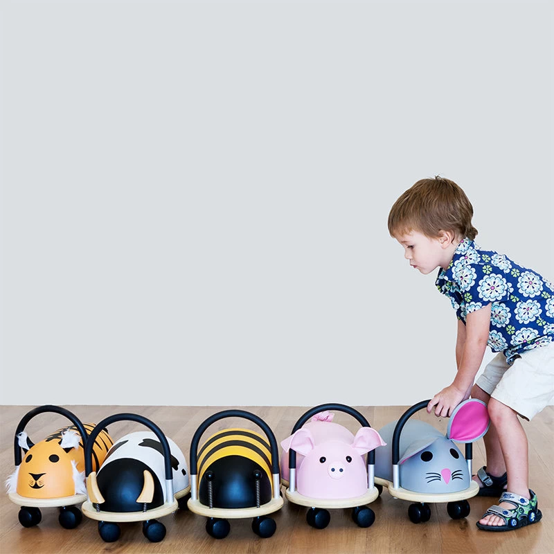 Large Mouse Wheely Bug 9 Large Mouse Wheely Bug - Image 7