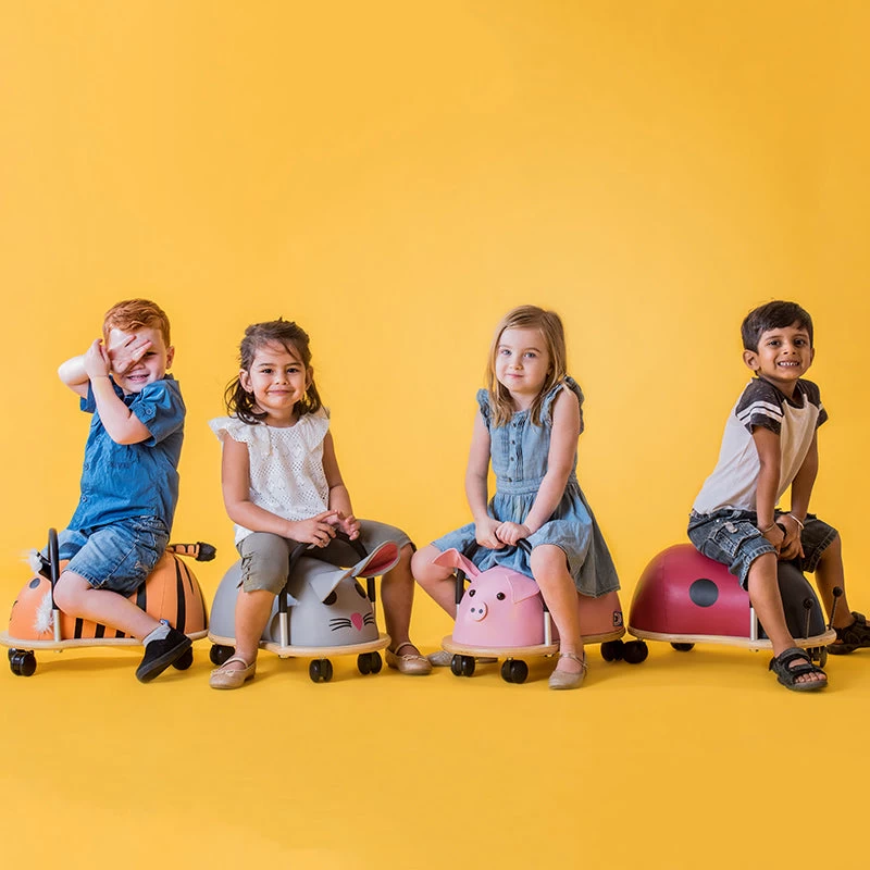 Large Mouse Wheely Bug 7 Large Mouse Wheely Bug - Image 5