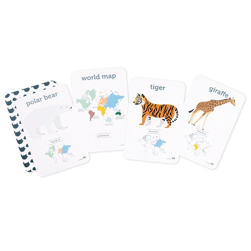 World Animal Flash Cards 5 World Animal Flash Cards - Image 3