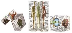 Cube Book Human Body -Toy Specialty Store ZOB35910 1