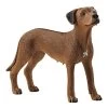 Schleich Rhodesian Ridgeback -Toy Specialty Store sc13895
