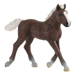 Schleich Black Forest Foal