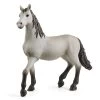 Schleich Pura Raza Espanola Young Horse -Toy Specialty Store sc13924