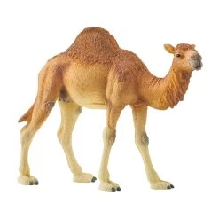 Schleich Dromedary